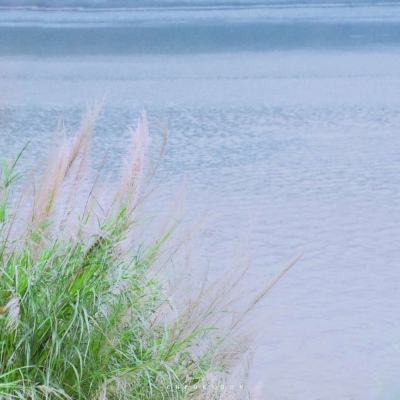 重庆铜梁玄天湖出现入侵物种鳄雀鳝！当地称被发现时已死亡